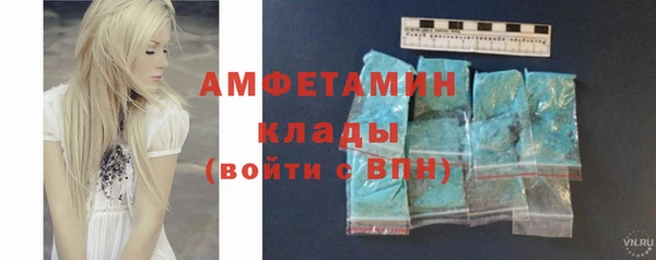 хмурый Гусь-Хрустальный