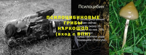 mdpv Алзамай