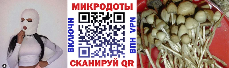 Галлюциногенные грибы Cubensis  Алзамай 